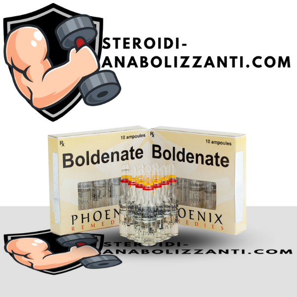 Boldenate 10 fiale (375mg/ml)
