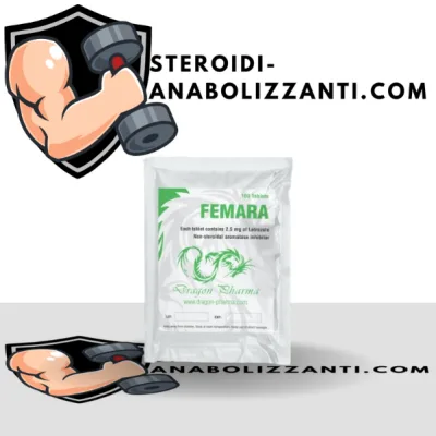 FEMARA 2.5
