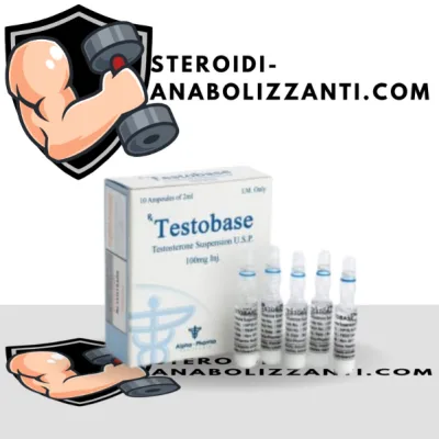 Testobase