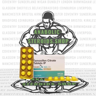 Tamilong 20 mg 100 pillole