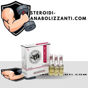 magnum-nandro-plex-300 køb online i Italien - steroidi-anabolizzanti.com